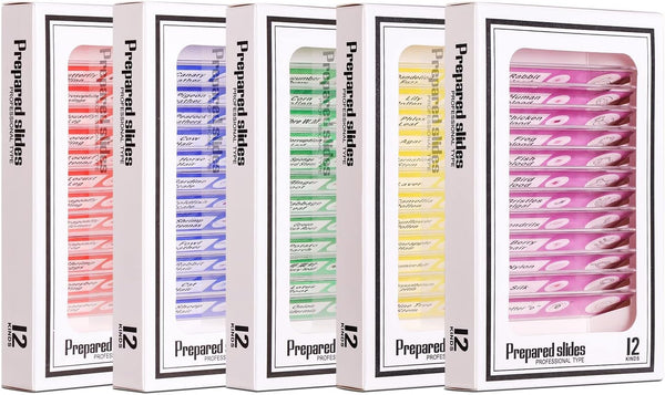 Prepared Plastic Microscope Slides with Specimens for Kids, 60PCS Animal/Plant/Insect/Blood Biology Slides
