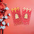 BESPORTBLE Chinese New Year Red Envelopes, Lucky Money Envelopes for Spring Festival Birthday Wedding Party, 10 Pcs