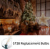 10 Pack ST38 Bulbs, Bulbs, E12 Dimmable Edison Replacement Warm White LED Clear Base, Energy-Efficient, Waterproof