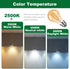 A19 Bulbs,2.5W(25W 250LM 2500K Bulb Chandelier,Non-Dimmable,Amber Glass,E26 Base,6 Packs Vintage LED Edison Light