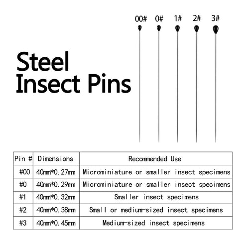 Willbond 500 Pcs Stainless Steel Insect Pins Kit - 5 Sizes for Specimen Entomology Butterfly Collection