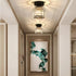 Beufee Bulb) Light Shade, Ceiling Lamp Shade Lamp Cover Clip on Ceiling Shades Pendant Light Cover Light Fixture Cover
