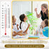 Maitys 10 Pcs Science Thermometers Mercury Free Student School Supplies Boiling Point Thermometers for Classroom