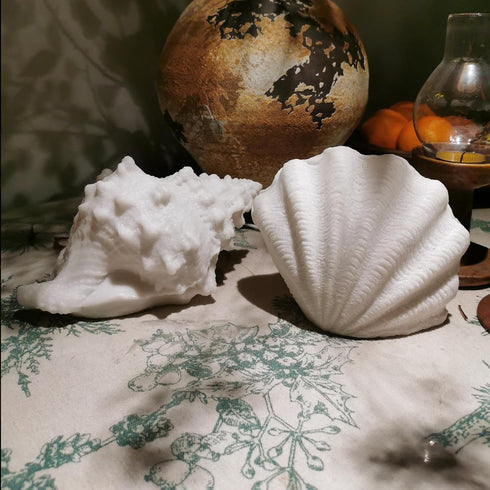 Conch Shell Night Lights USB Powered LED Night Light Sea Shell Lamps Beach Themed Seashell Decor Nightlights for Kids