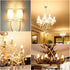 Bulbs 60 2700K Dimmable Bulbs, 90+ 6W 550LM, CA11 E12 Bulb, 12 Pack Hizashi LED Candelabra watt Equivalent Soft Warm