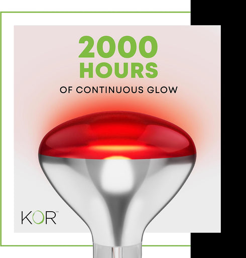 250 R40 Bulbs (2-Pack) Bulb 2,000 E26 120V W att Incandescent Light - Bathroom Infrared Heat Lamp for Chickens Chicks