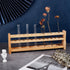 OLYCRAFT 12 Holes Wooden Test Tube Rack, 10ML Display Stand for Chemistry Laboratory