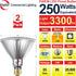 Explux 250 Watt Equivalent PAR38 LED Flood Light Bulbs, Super Bright 3300 Lumens, Dimmable, Full-glass Outdoor Waterproof & Anti-Ageing, 5000K Daylight Spotlight, 2-Pack by Explux Commercial Lighting