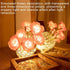 JIAYOYO Light,3-Color Dimming,Nightstand Rose Round Crystal Atmosphere Light, LED Flowerpot Desk Lamp, USB Charging