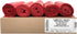Ultrasac Heavy Duty 55 Gallon Red Trash Bags - (Value 50 Pack)
