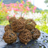 ACRAFT Handmade Dark Brown Rattan Ball String Lights Plug in Fairy Lights for Indoor Outdoor Patio Garden Balcony
