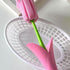 NUEAYMS Kitchen Cup Scrubber Mug for Coffee Cup Safe PP and Removable Head Flower Cleaning Brush Tall Bottle Glass