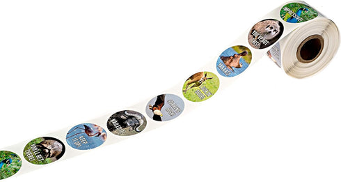 Motivational Animal Stickers, 500 Incentive Labels Roll, 1.5" Funny Inspirational School Clinic Reward Stickers