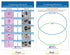 NewPath Learning Mitosis Bulletin Board Chart Set, Pack of 5 (94-7014)