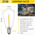 E12/C7 Bulbs ST38 1W Bulb, 2200K, 50 Pack VISTERLITE Base LED Replacement for Outdoor String Lights - Not Solar
