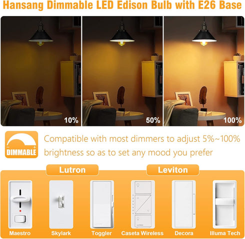 hansang E26 Edison Light Bulbs, Dimmable, 2700K Warm White, Vintage Edison Bulbs, 60 Watt Equivalent, 6W Filament Light