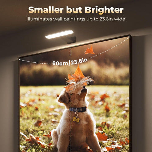 3 FULEN Rechargeable Picture Lights for Wall, Wall Lights Battery Powered with Remote, Art Lights for Paintings