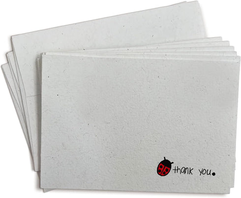 Sugartown Greetings Pretty Little Ladybug Thank You Cards - 24 Greeting Cards with Envelopes
