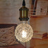 VicFlora G95 Bulb 4W 2700K Dimmable 40W E26 Pack 2 LED Pineapple Retro Edison Lamp Warm White Light Not Equivalent