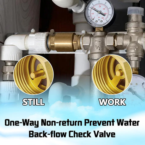 Boltigen 2PCS 1/2 Inch NPT Solid Brass Spring Check Valve, Non Return Horizontal Water Check Valve