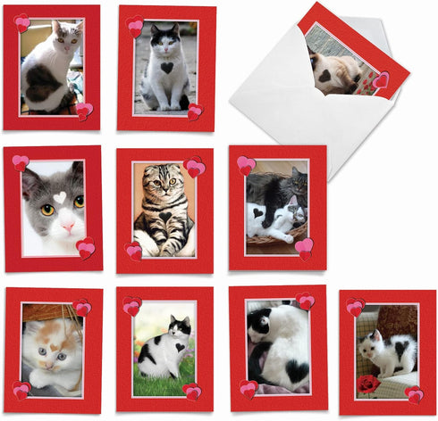 The Best Card Company - 10 All Occasion Blank Cat Cards (4 x 5.12 Inch) - Cute Assorted Bulk Set, Heartfelt Cats