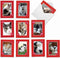 The Best Card Company - 10 All Occasion Blank Cat Cards (4 x 5.12 Inch) - Cute Assorted Bulk Set, Heartfelt Cats