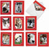 The Best Card Company - 10 All Occasion Blank Cat Cards (4 x 5.12 Inch) - Cute Assorted Bulk Set, Heartfelt Cats