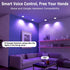 2 Inch 5W Dimmable 2700K-6500K, 120V (1 Pack) LightingWill LED Recessed Lighting, Smart WiFi LED Downlight, Ceiling