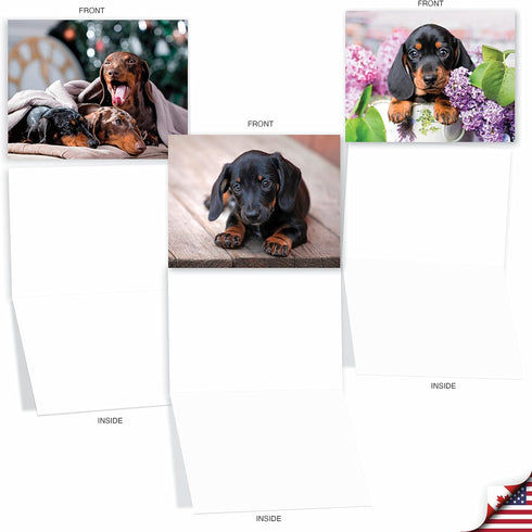 The Best Card Company - 10 Adorable Blank Dog Cards, Assorted Pet Breeds, Boxed Set