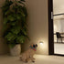 120LM 2 Pack Lyridz Plug in Night Light with Motion Sensor, Superior Bright Smart Mini LED Nightlight, Warm White