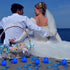 LANKER 500 PCS Blue Artificial Rose Petals with 24 Bright Flickering Blue Flameless LED Tea Lights for Valentine's