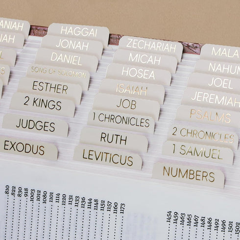 XKDOUS Summaries, 66 9 - Laminated Bible Tabs with Book Large Print Gold Foil Bible Tabs for Women Men, Bible Book Tabs