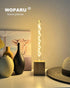 BulbT10/T32 (E26) E274W 2200K Dimmable Bulb,40W 2pcs) Long Test Tube Spiral Vintage Edison Filament Light Medium