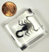 38mm Real Black Scorpion Preserved in Crystal Clear Lucite Resin Specimen for Biology Science Education & Crafts