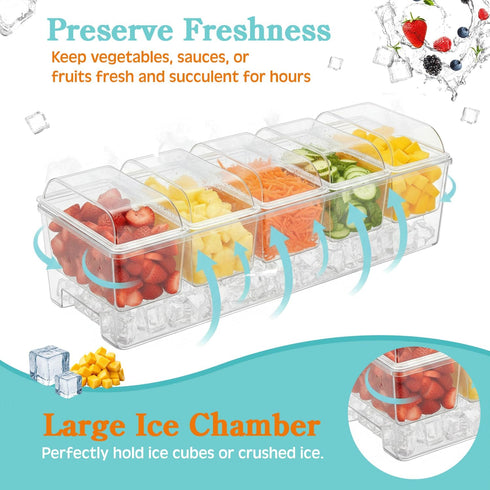 Seeshu Condiment Server Clear Acrylic Condiment Caddy with Ice Chamber, Removable Food Containers & Lids
