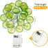 Vibrant Lime Slice LED String Lights for Outdoor Decor