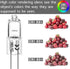 G4 Halogen Bulbs 10W 12V: T3 JC Type 2 Pin Base Replacement for Landscape Lighting (10 Pack)