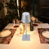 Dimmable TOPINCN, High Brightness LED Touch Modern Simple, Rechargeable Cordless for Restaurant Bar (Silver)