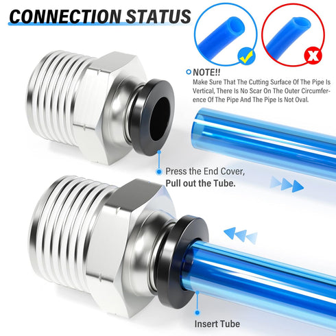 TAILONZ PNEUMATIC Male Straight 1/4 Inch Tube OD x 1/2 Inch NPT Thread Push to Connect Fittings (Pack of 10)