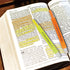 Twist-Up Highlighter Set, 12 Colors, Long Lasting Non-Toxic Dry Highlighters for Bible, Text, & Notes