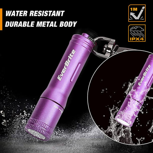 EverBrite Mini Keychain LED Flashlight, Portable Pocket Torch for EDC, Camping, Emergency