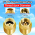 Boltigen 2PCS 1 Inch NPT Female Thread Spring Check Valve, Solid Brass Non Return One Way Horizontal Check Valve, Vertical In-Line Water Check Valve for Well, Pump, Tank, Backflow Prevention