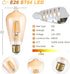 DiCUNO E26 Edison Bulbs 60W, 2200K Amber Warm, 6W LED Edison Bulb ST64, Amber Glass, Vintage Filament Light Bulbs for Decoration, 600LM, Non-Dimmable, CRI 80, Pack of 2 by DiCUNO