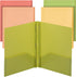 Mr. Pen Plastic Folders with Pockets and Prong, 5 Pack Assorted Colors, Pocket Folders with Fasteners