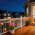 35 Commercial 18 LUCKY SHINE Red Pepper Decorative Lighting String, Grade LED Chili String Lights FT, for Christmas