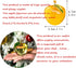 H&D Glaze Crystal Apple Paperweight Craft Decoration, Yellow