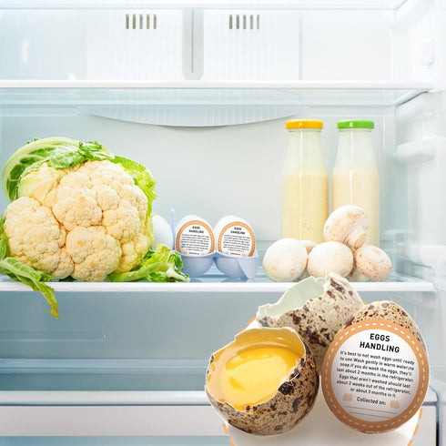 500 2 Inch Packaging Colarr Pcs Farm Fresh Eggs Carton Labels Stickers Easter Egg Care Self Adhesive Writable Handling