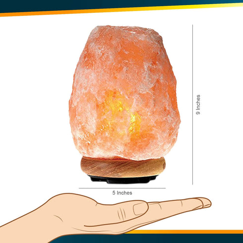 Dimmer Bulb 6-8 LBS, 1001 WBM LLC Himalayan Glow Natural Pink Salt Lamp, Crystal Salt Lamp Night Light with (ETL