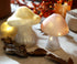 Glass Small Mushroom Table Lamp - Mushroom Night Light Battery Operated Warm Amber Glow Cute Bedside Lamp for Kids