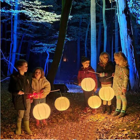 30 Pack 36 Paper Lantern Lights Battery Operated Warm White Hanging LED Lights Super Bright Easy Use Decorative
